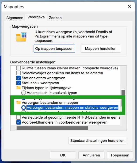 Verborgen bestanden weergeven in Windows 11