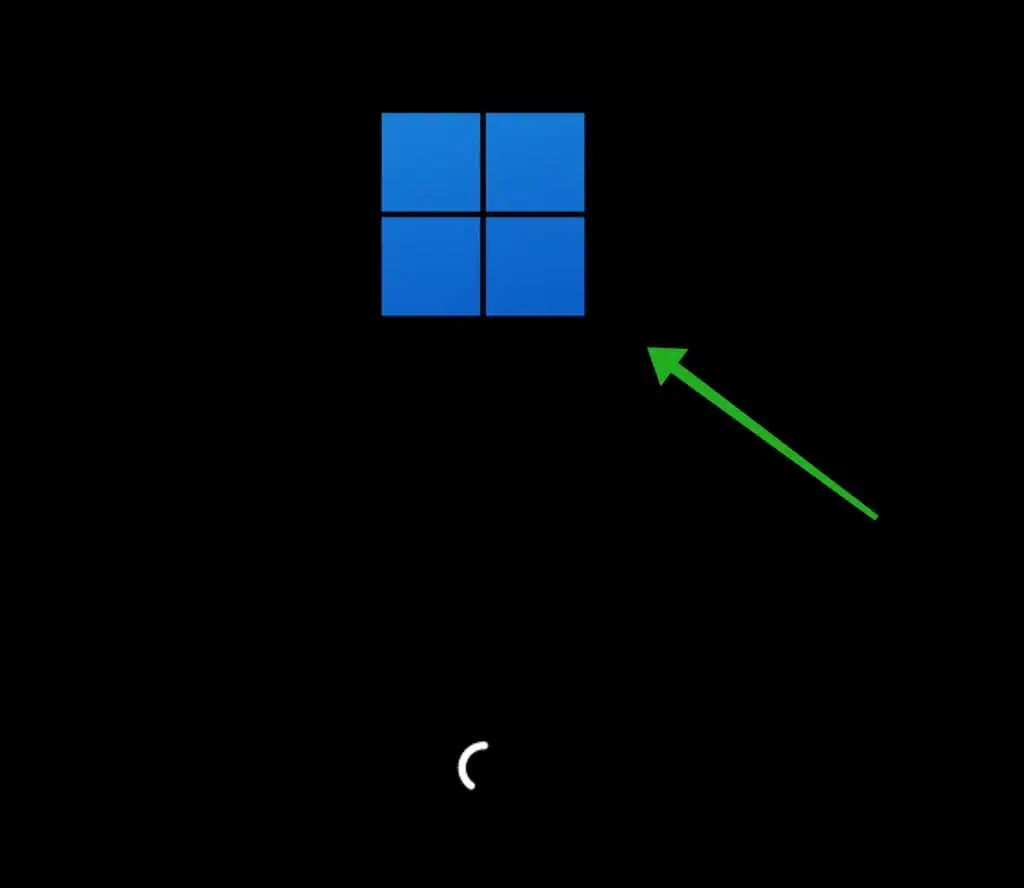 在 Windows 11 或 10 中更改 Windows 启动徽标